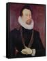 Portrait of Sir John Hawkins-null-Framed Stretched Canvas
