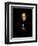 Portrait of Sir Joseph Paxton, C.1844-Thomas Ellerby-Framed Giclee Print