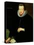 Portrait of Sir Robert Cecil 1st Viscount Cranborne and 1st Earl of Salisbury-John De Critz-Stretched Canvas