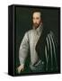 Portrait of Sir Walter Raleigh-null-Framed Stretched Canvas