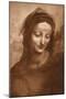 Portrait of St. Anne by Leonardo da Vinci-Bettmann-Mounted Giclee Print