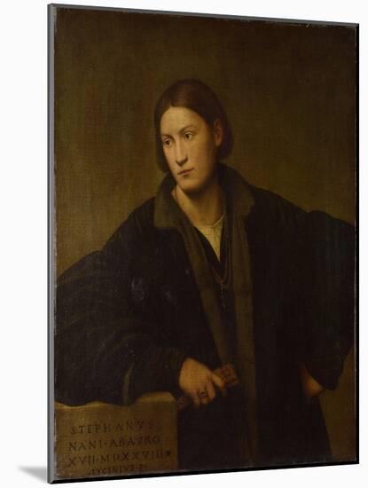 Portrait of Stefano Nani, 1528-Bernardino Licinio-Mounted Giclee Print