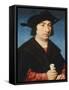 Portrait of Stefano Raggio-Van Cleve Joos-Framed Stretched Canvas