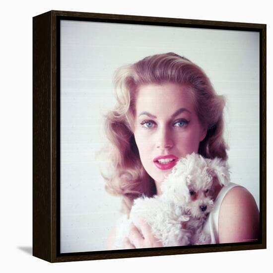 Portrait of Swedish Born Actress Anita Ekberg Holding Small Dog-Allan Grant-Framed Stretched Canvas