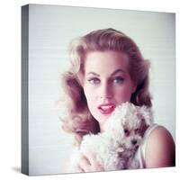 Portrait of Swedish Born Actress Anita Ekberg Holding Small Dog-Allan Grant-Stretched Canvas