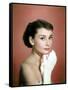 Portrait of the American Actress Audrey Hepburn, Photo for Promotion of Film Sabrina, 1954-null-Framed Stretched Canvas