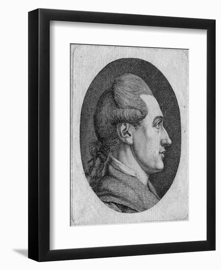 Portrait of the Author Johann Wolfgang Von Goethe (1749-183)-Dora Stock-Framed Giclee Print