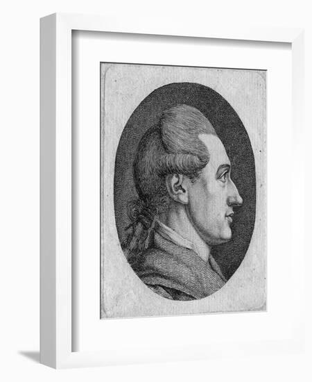 Portrait of the Author Johann Wolfgang Von Goethe (1749-183)-Dora Stock-Framed Giclee Print