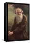 Portrait of the Author Leo N. Tolstoy (1828-191), 1910-Jan Styka-Framed Stretched Canvas