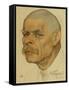 Portrait of the Author Maxim Gorky (1868-193), 1921-Nikolai Andreevich Andreev-Framed Stretched Canvas