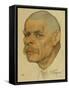 Portrait of the Author Maxim Gorky (1868-193), 1921-Nikolai Andreevich Andreev-Framed Stretched Canvas