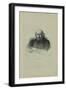 Portrait of the Author Prince Alexander Shakhovskoi (1777-184), 1860S-Pyotr Fyodorovich Borel-Framed Giclee Print