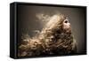 Portrait of the Beautiful Woman with Long Curly Hair-dpaint-Framed Stretched Canvas