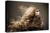 Portrait of the Beautiful Woman with Long Curly Hair-dpaint-Stretched Canvas