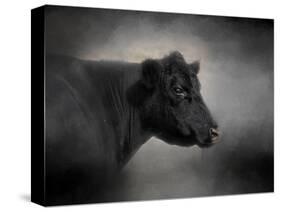 Portrait of the Black Angus-Jai Johnson-Stretched Canvas