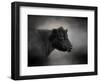 Portrait of the Black Angus-Jai Johnson-Framed Giclee Print