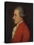 Portrait of the Composer Wolfgang Amadeus Mozart (Hagenauer Mozar), 1780S-null-Stretched Canvas