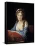 Portrait of the Countess Catherine Vassilievna Skavronskaia by Elisabeth Vigee-Lebrun-null-Framed Stretched Canvas