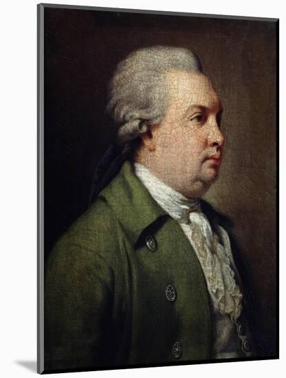 Portrait of the Dramatist Denis I Fonvizin, C1784-C1785-Armand Charles Caraffe-Mounted Giclee Print