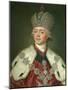 Portrait of the Emperor Paul I of Russia (1754-180), 1799-1800-Vladimir Lukich Borovikovsky-Mounted Giclee Print