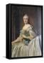 Portrait of the Empress Catherine the Great, after 1762-Vigilius Erichsen-Framed Stretched Canvas