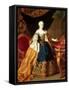 Portrait of the Empress Maria Theresa of Austria (1717-80)-Martin van Meytens-Framed Stretched Canvas