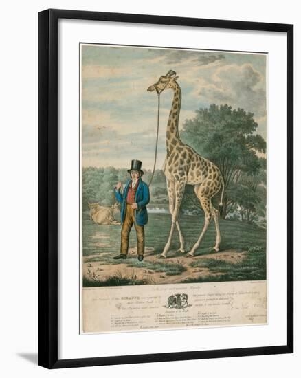 Portrait of the Giraffe, 1827-Abraham Bruiningh van Worrell-Framed Giclee Print