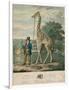 Portrait of the Giraffe, 1827-Abraham Bruiningh van Worrell-Framed Giclee Print