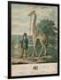 Portrait of the Giraffe, 1827-Abraham Bruiningh van Worrell-Framed Giclee Print