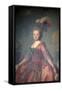 Portrait of the Grand Duchess Maria Feodorovna, 1777-Alexander Roslin-Framed Stretched Canvas
