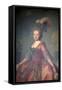 Portrait of the Grand Duchess Maria Feodorovna, 1777-Alexander Roslin-Framed Stretched Canvas