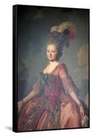 Portrait of the Grand Duchess Maria Feodorovna, 1777-Alexander Roslin-Framed Stretched Canvas