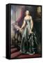 Portrait of the Grand Duchess Olga Nikolaevna, 1841-Christina Robertson-Framed Stretched Canvas
