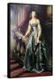 Portrait of the Grand Duchess Olga Nikolaevna, 1841-Christina Robertson-Framed Stretched Canvas