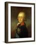 Portrait of the Grand Duke Paul Petrovich (Future Tsar Paul I)-Vladimir Lukich Borovikovsky-Framed Giclee Print