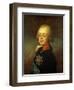 Portrait of the Grand Duke Paul Petrovich (Future Tsar Paul I)-Vladimir Lukich Borovikovsky-Framed Giclee Print