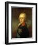 Portrait of the Grand Duke Paul Petrovich (Future Tsar Paul I)-Vladimir Lukich Borovikovsky-Framed Giclee Print