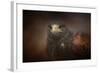 Portrait of the Harris Hawk-Jai Johnson-Framed Giclee Print