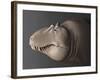 Portrait of the Head of a Lythronax Dinosaur-null-Framed Art Print