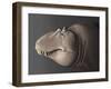 Portrait of the Head of a Lythronax Dinosaur-null-Framed Art Print