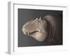 Portrait of the Head of a Lythronax Dinosaur-null-Framed Art Print