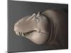 Portrait of the Head of a Lythronax Dinosaur-null-Mounted Art Print