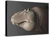 Portrait of the Head of a Lythronax Dinosaur-null-Stretched Canvas