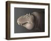 Portrait of the Head of a Lythronax Dinosaur-null-Framed Art Print