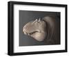 Portrait of the Head of a Lythronax Dinosaur-null-Framed Art Print