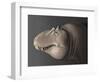 Portrait of the Head of a Lythronax Dinosaur-null-Framed Art Print