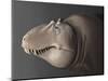 Portrait of the Head of a Lythronax Dinosaur-null-Mounted Art Print