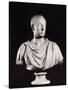 Portrait of the Holy Roman Emperor Francis I (1708-65) (Marble) (See also 82132)-Antonio Canova-Stretched Canvas