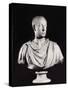 Portrait of the Holy Roman Emperor Francis I (1708-65) (Marble) (See also 82132)-Antonio Canova-Stretched Canvas