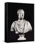 Portrait of the Holy Roman Emperor Francis I (1708-65) (Marble) (See also 82132)-Antonio Canova-Framed Stretched Canvas